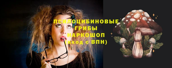 дживик Абаза
