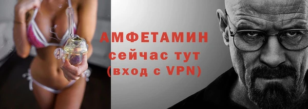 дживик Абаза