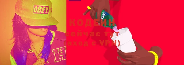 дживик Абаза