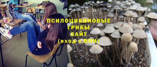 прущая мука Абдулино
