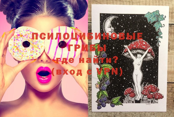 хмурый Абинск
