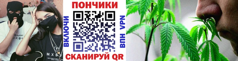 Марихуана ГИДРОПОН  Опочка 